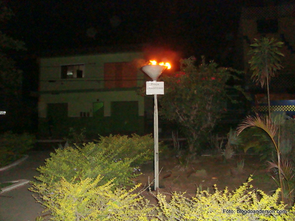 DSC09939