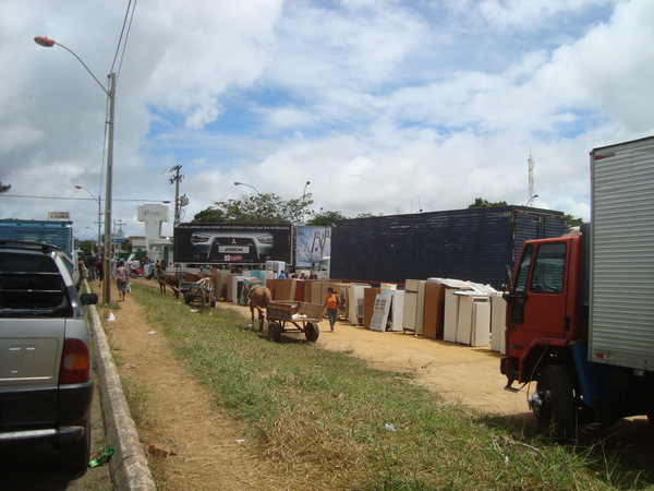 DSC09978