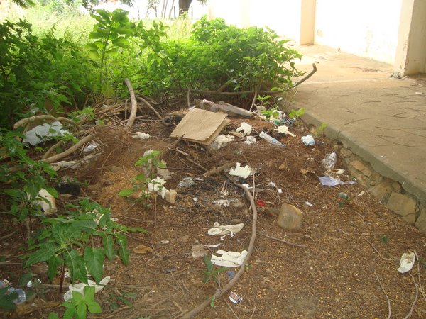 DSC00035