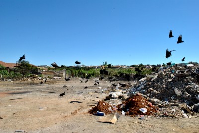 DSC_0183-001