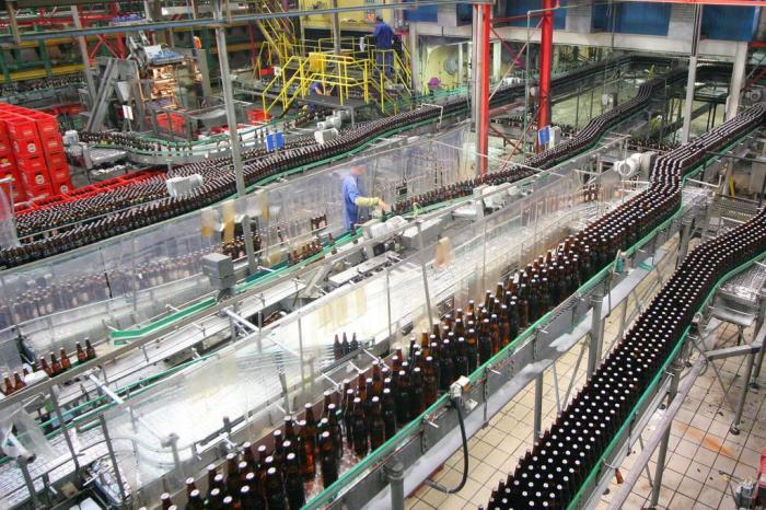 Guia de Oportunidades: Cervejaria Ambev oferece vagas de emprego em ...