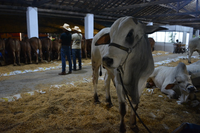 Evento da Cidade | Cooperativa adia a 54ª Exposição Agropecuária de Vitória  da Conquista | BLOG DO ANDERSON