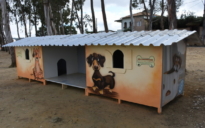 Ativismo Social: A Liga dos Protetores instala a Casa Cão Comunitário em Vitória da Conquista