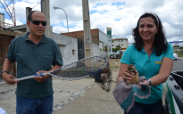 Conquista: Corujas são levadas ao CETAS