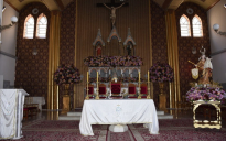 Catedral Metropolitana Nossa Senhora das Vitórias: veja as novas cores e formatos em fotos exclusivas