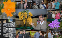 Evento na Cidade: Exposição de Orquídeas atrai admiradores e cultivadores em Vitória da Conquista