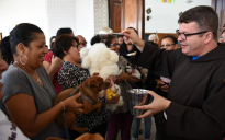 Dia Mundial dos Animais: Arquidiocese de Vitória da Conquista realiza bênçãos a cães, gatos e pássaros