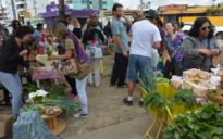 Novidade na Cidade: Feira de Alimentos Orgânicos atraí consumidores em Vitória da Conquista