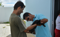 Saúde Pública: “Dia D” de vacinação contra a raiva acontece nesse sábado em Vitória da Conquista