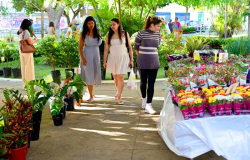 Conquista Florescendo | Feira de Flores de Holambra acontece pela 18ª vez em Vitória da Conquista