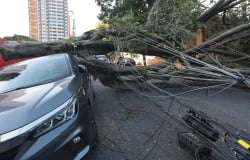 Fenômeno Natural | vendaval histórico sem chuva e se prolonga por mais de 12 horas em São Paulo