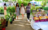 Conquista Florescendo | Feira de Flores de Holambra acontece pela 18ª vez em Vitória da Conquista