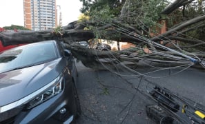 Fenômeno Natural | vendaval histórico sem chuva e se prolonga por mais de 12 horas em São Paulo