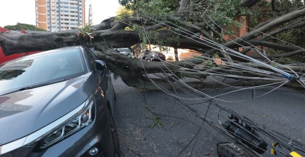 Fenômeno Natural | vendaval histórico sem chuva e se prolonga por mais de 12 horas em São Paulo
