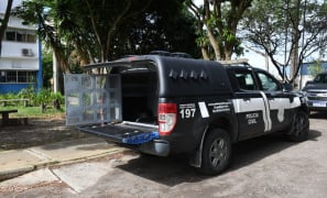 Segurança Pública | morte na BA-263 e jovem é assassinado após discussão em Vitória da Conquista