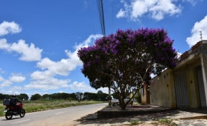 Clima na Cidade | sol brilha após chuva em Vitória da Conquista