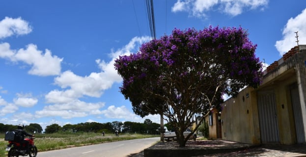 Clima na Cidade | sol brilha após chuva em Vitória da Conquista