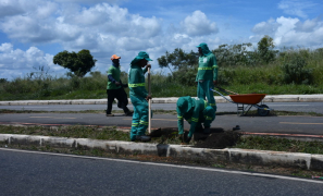 Meio Ambiente | Trecho 1 do Corredor Perimetral recebe arborização em Vitória da Conquista
