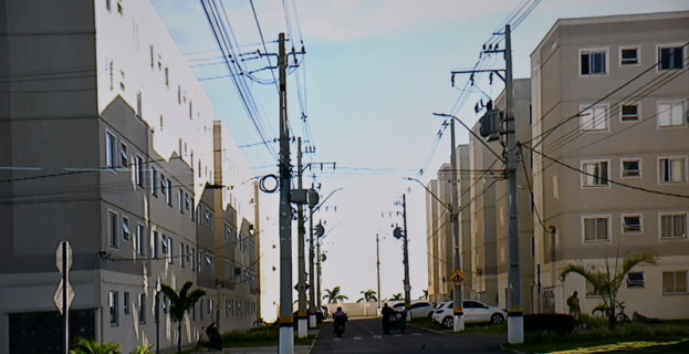 Meio Ambiente | expansão urbana e desmatamento impulsionam o aparecimento de cobras em Conquista