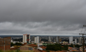Meio Ambiente | infestação de marimbondos assusta e acende alerta em Vitória da Conquista