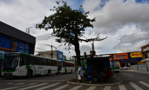 Pânico no Ônibus | passageira passa mal ao ser atingida por “spray de pimenta” em Vitória da Conquista