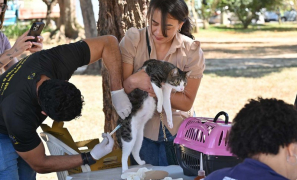 Campanha Nacional de Vacinação Antirrábica | 23 mil cães e gatos foram vacinados em Vitória da Conquista