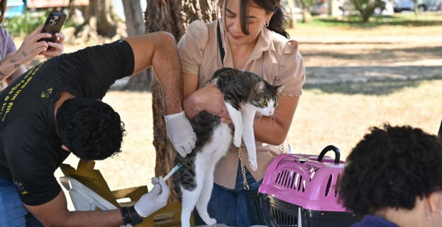 Campanha Nacional de Vacinação Antirrábica | 23 mil cães e gatos foram vacinados em Vitória da Conquista