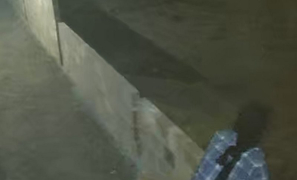 Bandido no Povoado do Choça | ladrão invade chácara e furta três bicicletas em Vitória da Conquista