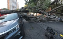 Fenômeno Natural | vendaval histórico sem chuva e se prolonga por mais de 12 horas em São Paulo