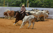 Esportes: Campeonato de ‘Apartação’ é realizado em Vitória da Conquista; veja as fotos