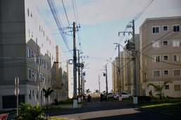 Meio Ambiente | expansão urbana e desmatamento impulsionam o aparecimento de cobras em Conquista